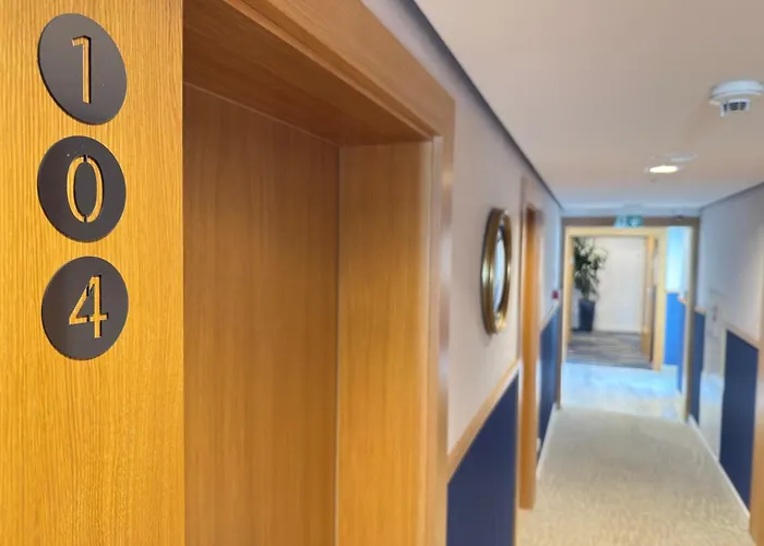 酒店 中华酒店 3*